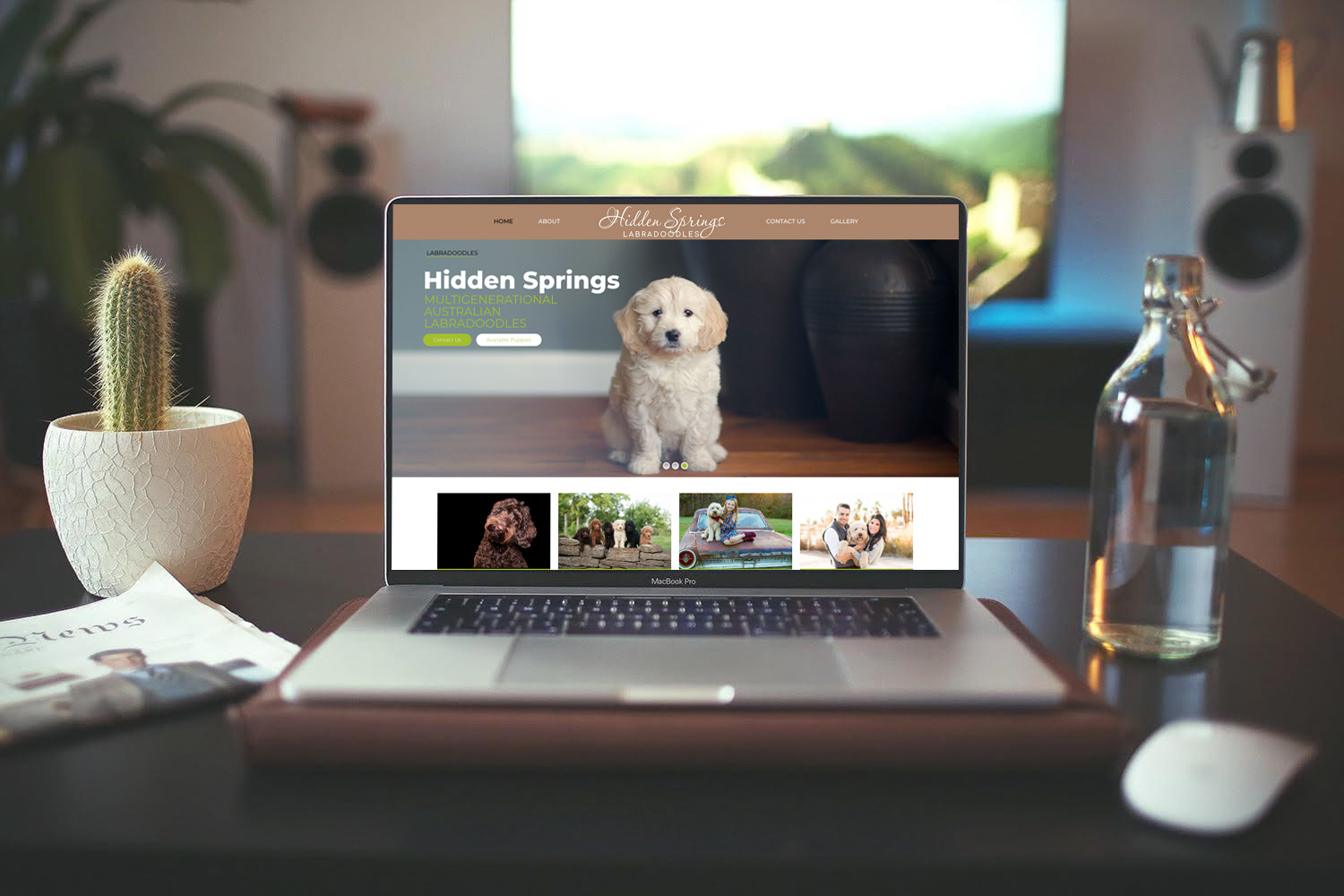 Hidden Springs Labradoodles