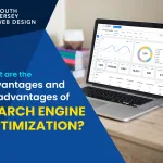 What are the advantages and disadvantages of search engine optimization?