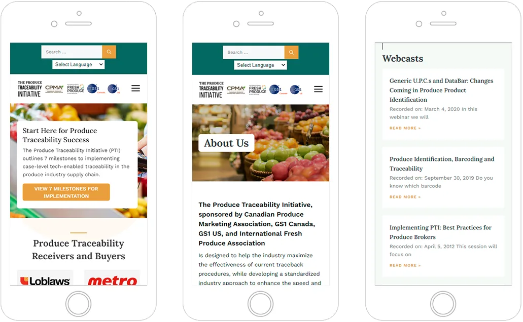 responsive-2